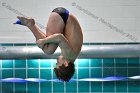 Swimming & Diving vs Babson  Swimming & Diving vs Babson College. - Photo by Keith Nordstrom : Wheaton, Swimming